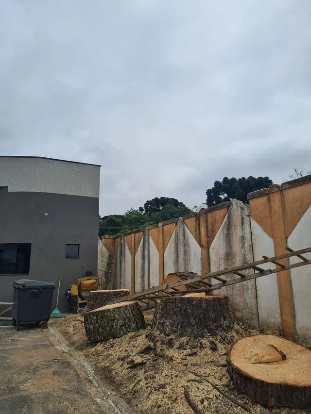 Corte e poda de árvores 