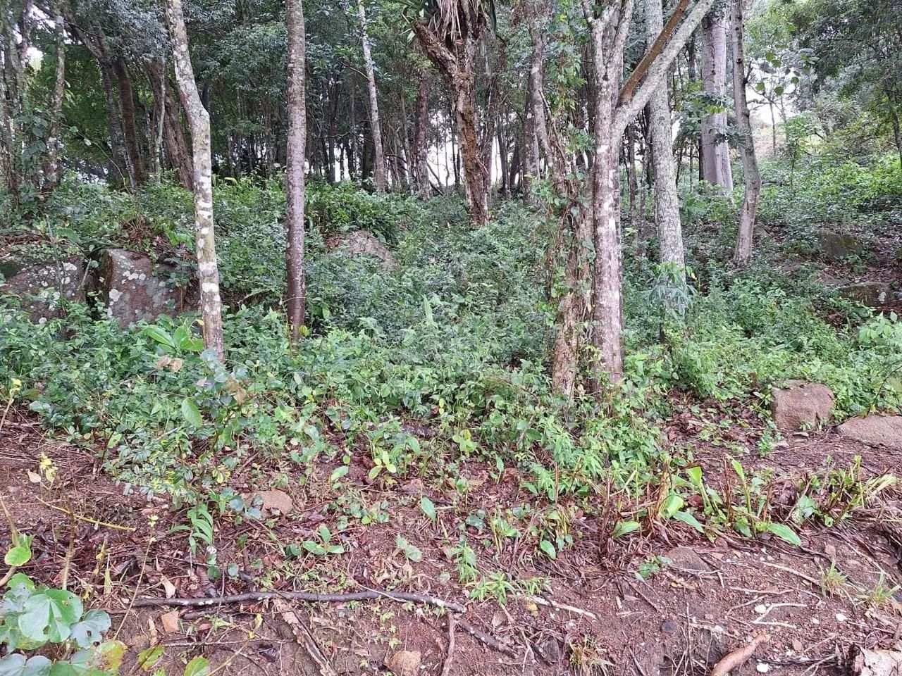 Terreno frente mar com 3643m² à venda em Sambaqui - Florianópolis. - Foto 2