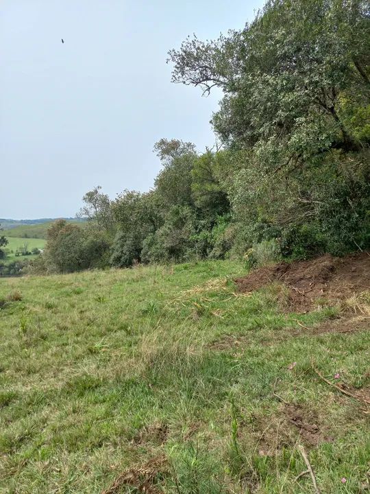 Chácara Faz. Ilhéus 2,0 Ha - Foto 11