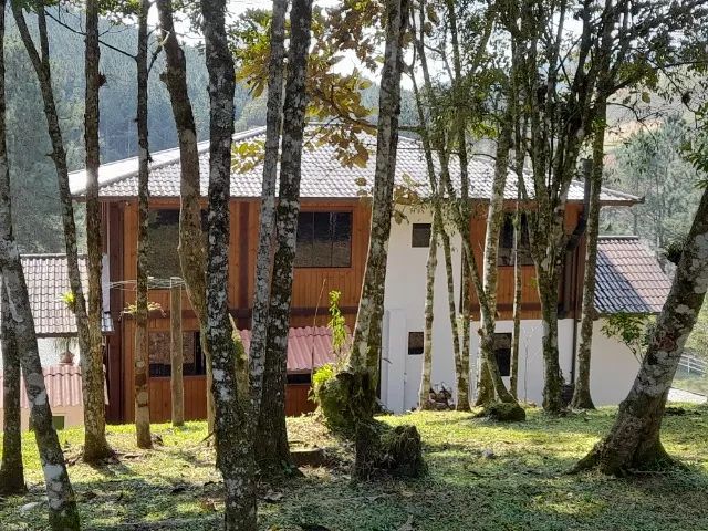 Sítio 5,7 Hectares, Casa 260m², açudes, riacho, pastagem - 4ª Linha, Angelina 