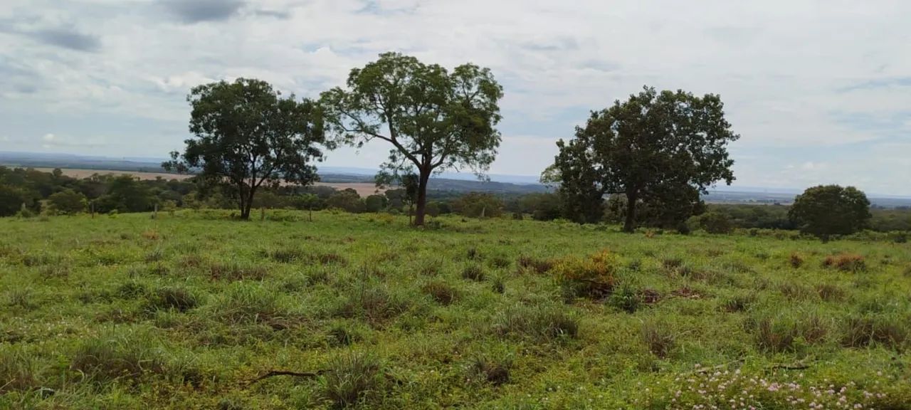 Fazenda entre Palmas to e Barrolândia to - Foto 12