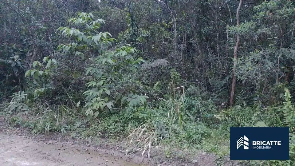 Terreno de chácara à venda no Chácaras Gaivota - Foto 5