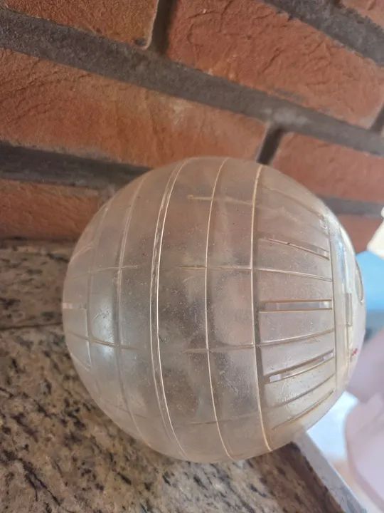 Bola de Hamster Transparente - Foto 3