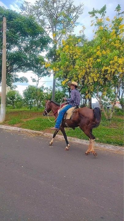 Vendo ou troco egua - Foto 2