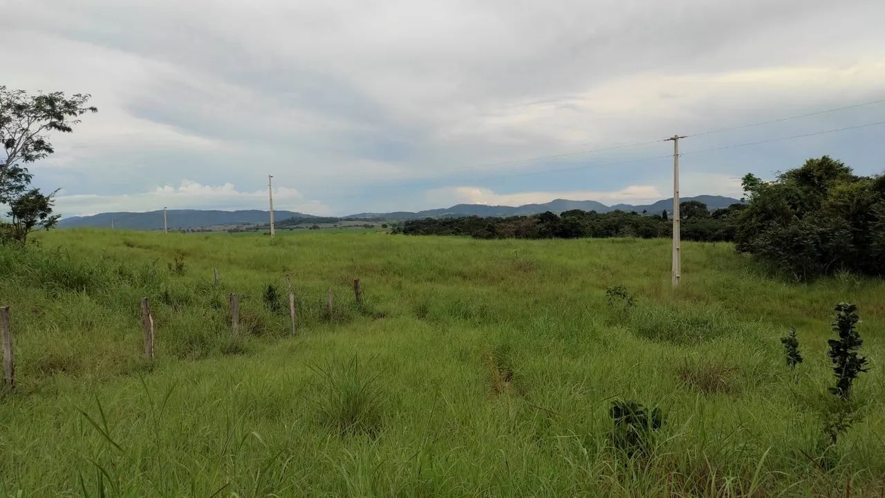 Sitio de 8 alq em Itapuranga-GO - Foto 4