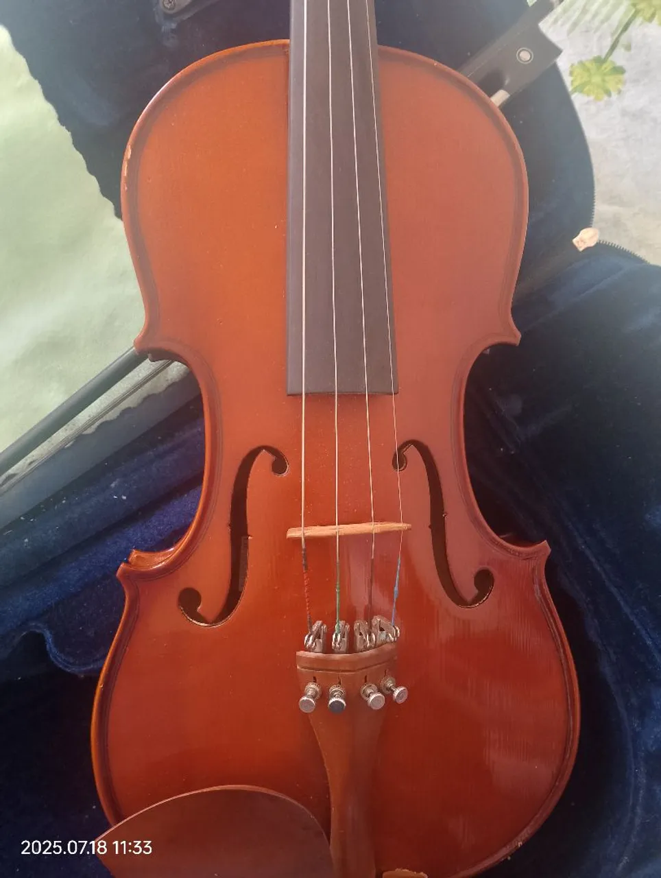 Violino clássico para músicos iniciantes Egles 4/4