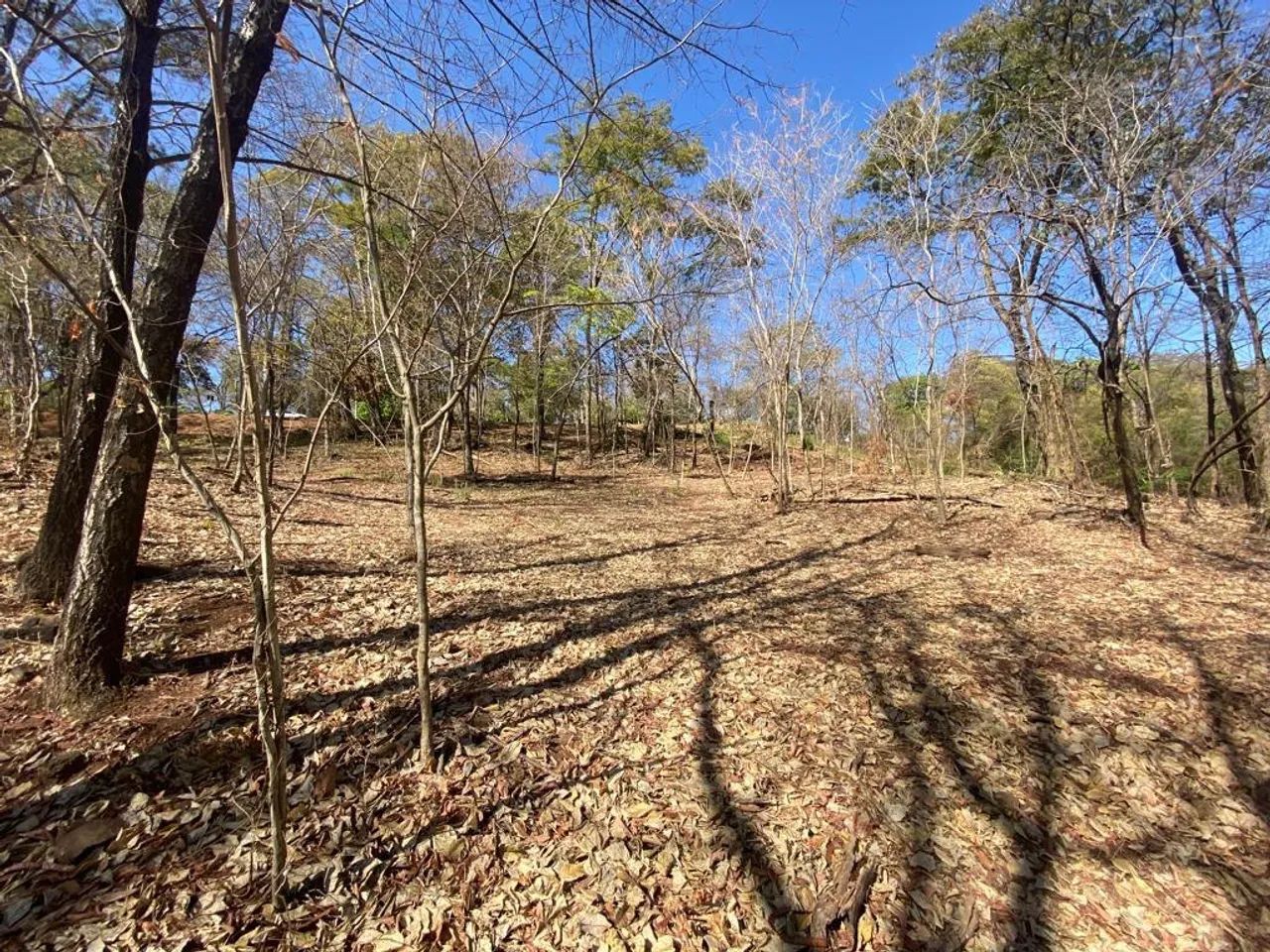 Lote/Terreno para venda possui 3476 metros quadrados em Residencial Aldeia do Vale - Goiân - Foto 4