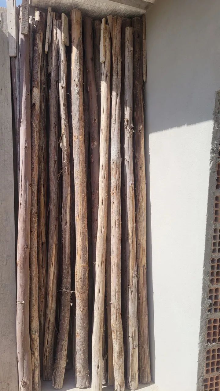 Escora Eucalipto 64850323222401120