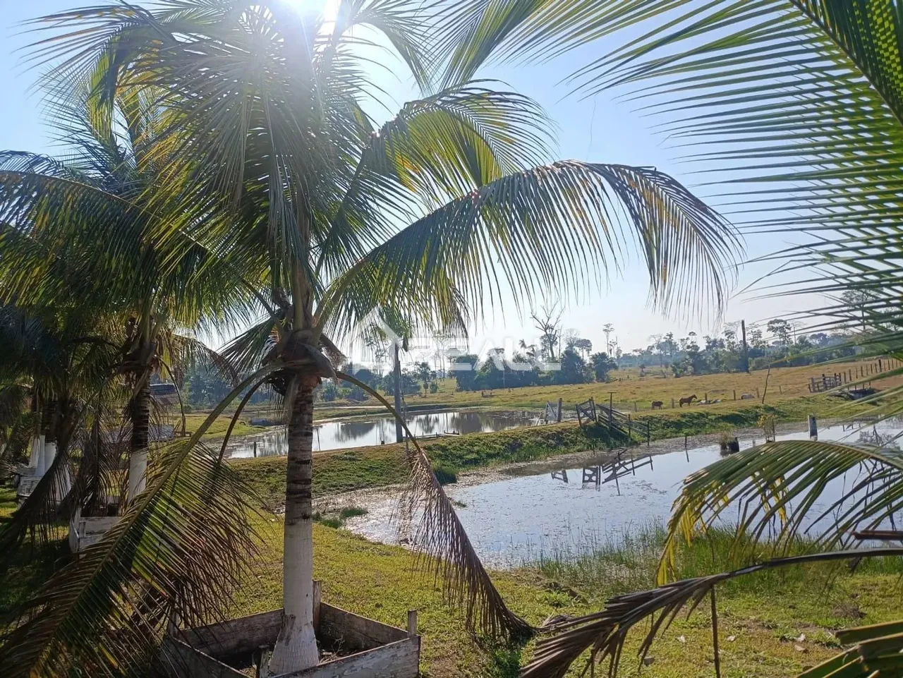 Fazenda a Venda,Transacreana km 15, Vila Manoel Marques, Rio Branco-AC