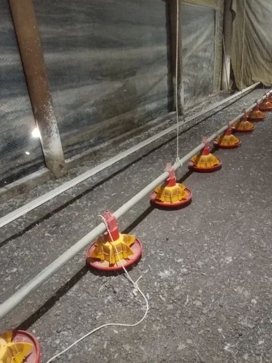 Equipamentos para granja de frango 125 x 12 - Foto 4