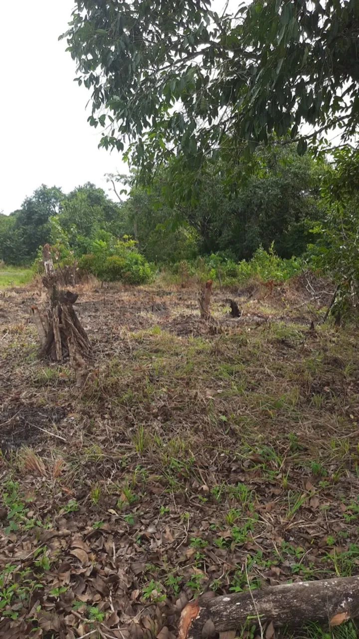 Terreno na ilha 