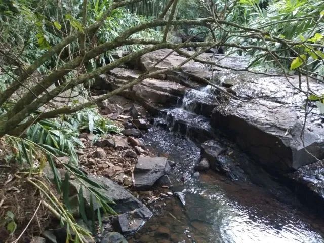Foto - Santo Antônio da Patrulha - 
