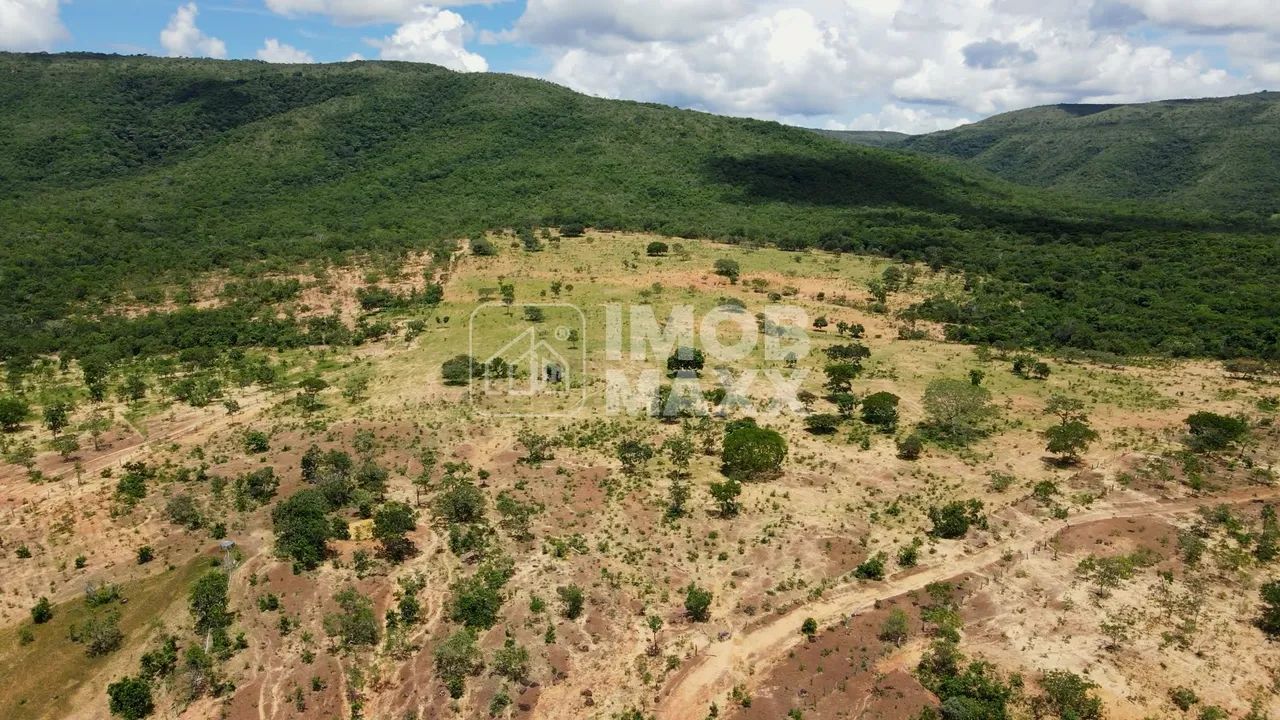 Fazenda Buritis 333,65 Ha Investimento Muita Água - Foto 6