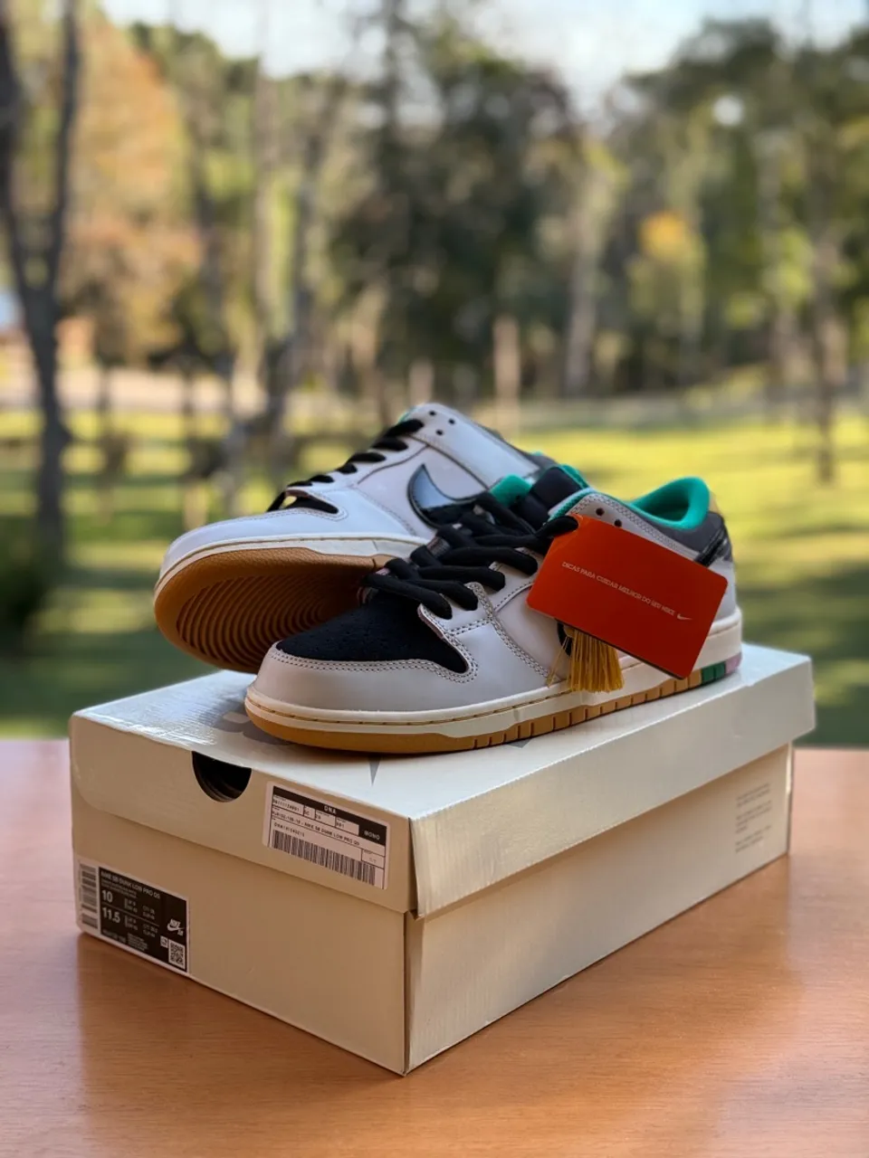 Nike SB Dunk Low X CSEF