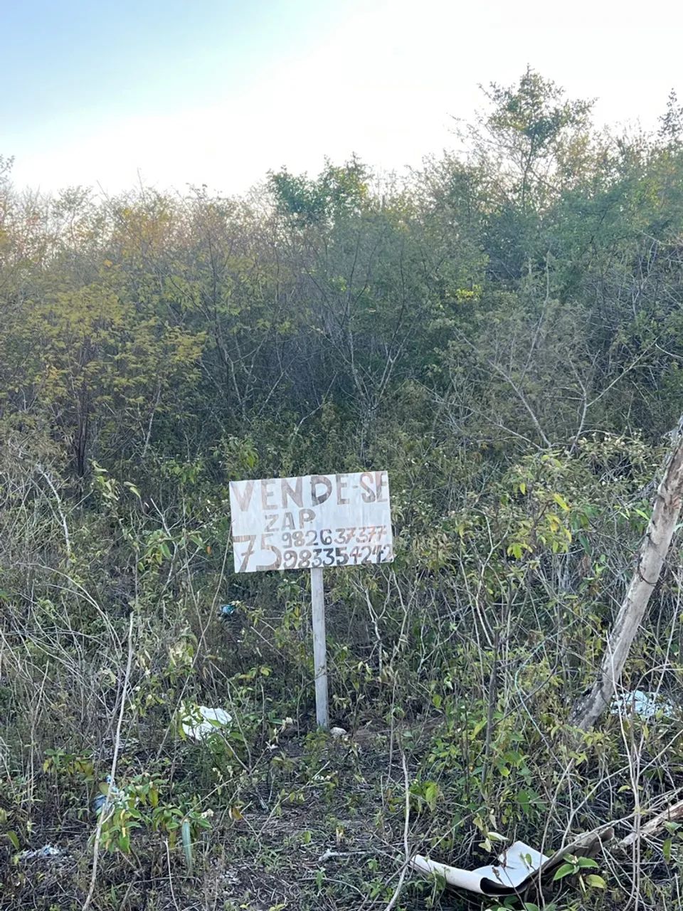 Foto - Feira de Santana - Conceição