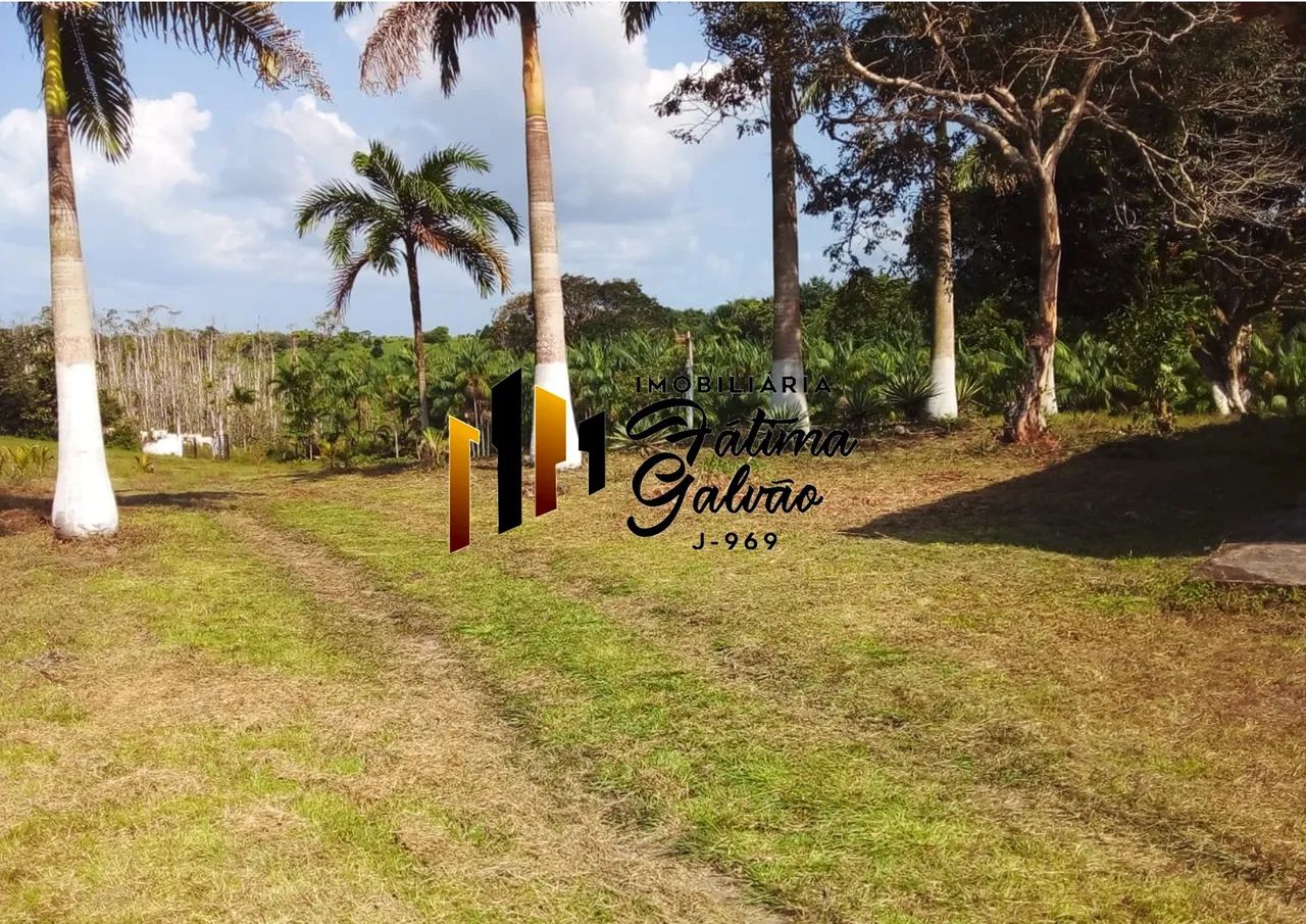 Vendo Fazenda em São Francisco do Pará - Foto 5
