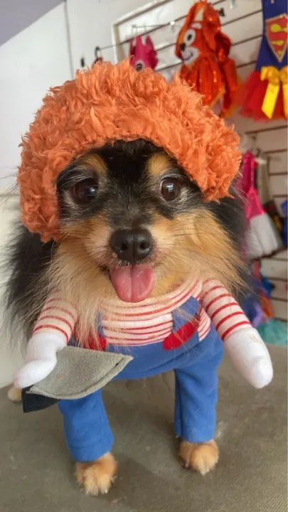 Fantasias para cachorro - Foto 3
