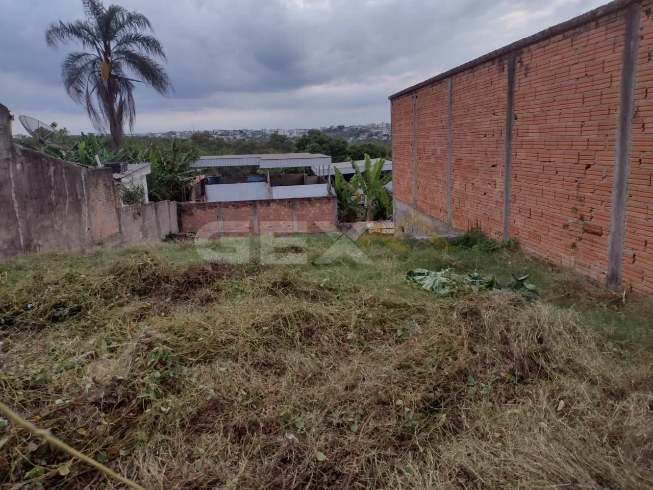 Lote à venda no bairro Antônio Fonseca com 300 m².