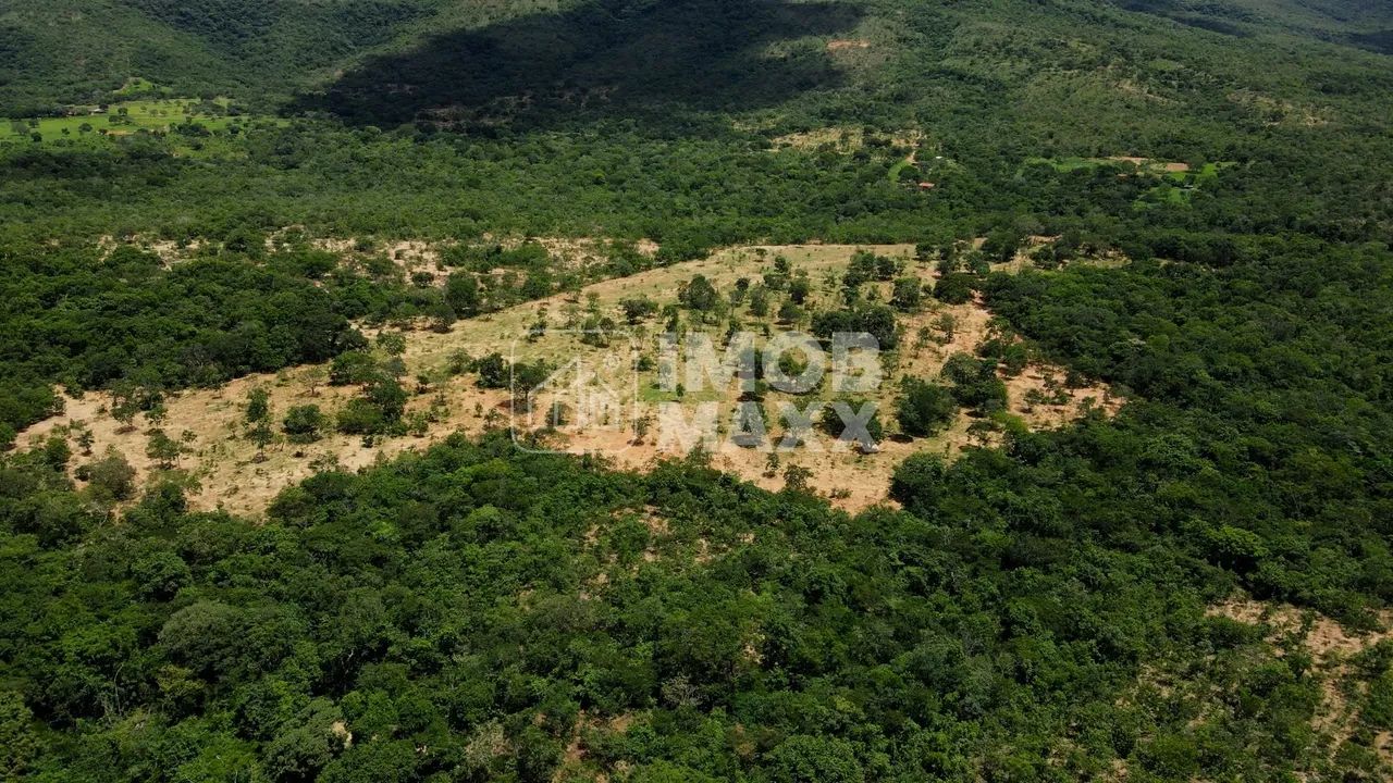 Fazenda Buritis 333,65 Ha Investimento Muita Água - Foto 13