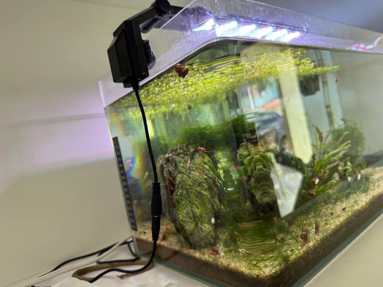 Aquário de 20l - Foto 6