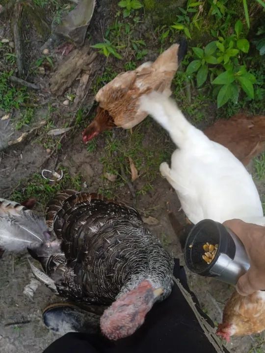 Desapegando. Não vendo separado - Foto 5