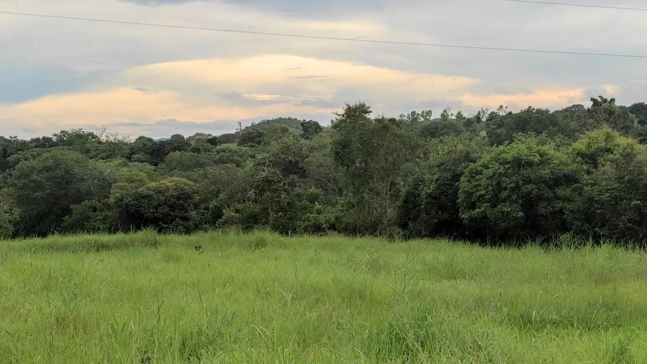 Sitio de 8 alq em Itapuranga-GO