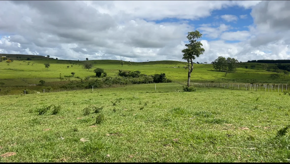 Vendo área rural com 1,2 alqueire com nascente de um Ribeirão