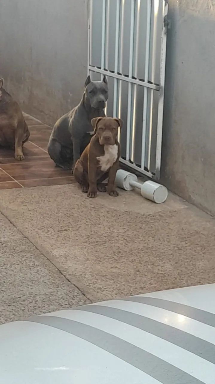 Pit Monster