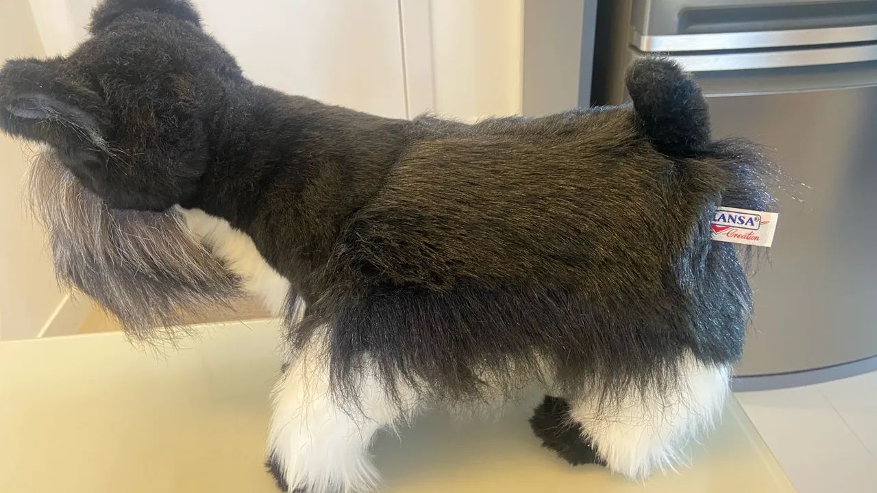  Schnauzer 45/30cm - Foto 5