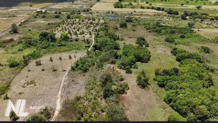 Fazenda à venda próximo a Monte Alegre com 23 hectares - Foto 2