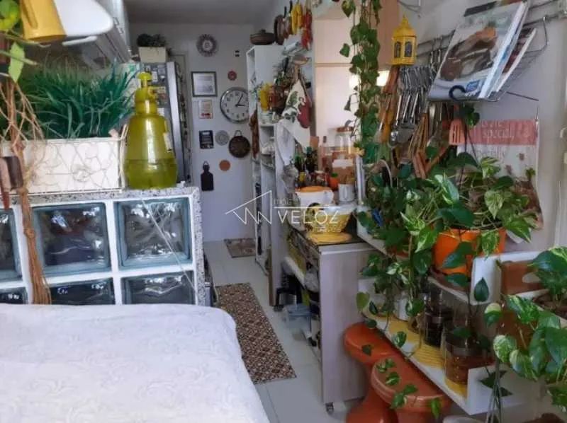 Apartamento - / Residencial / Botafogo - Foto 3