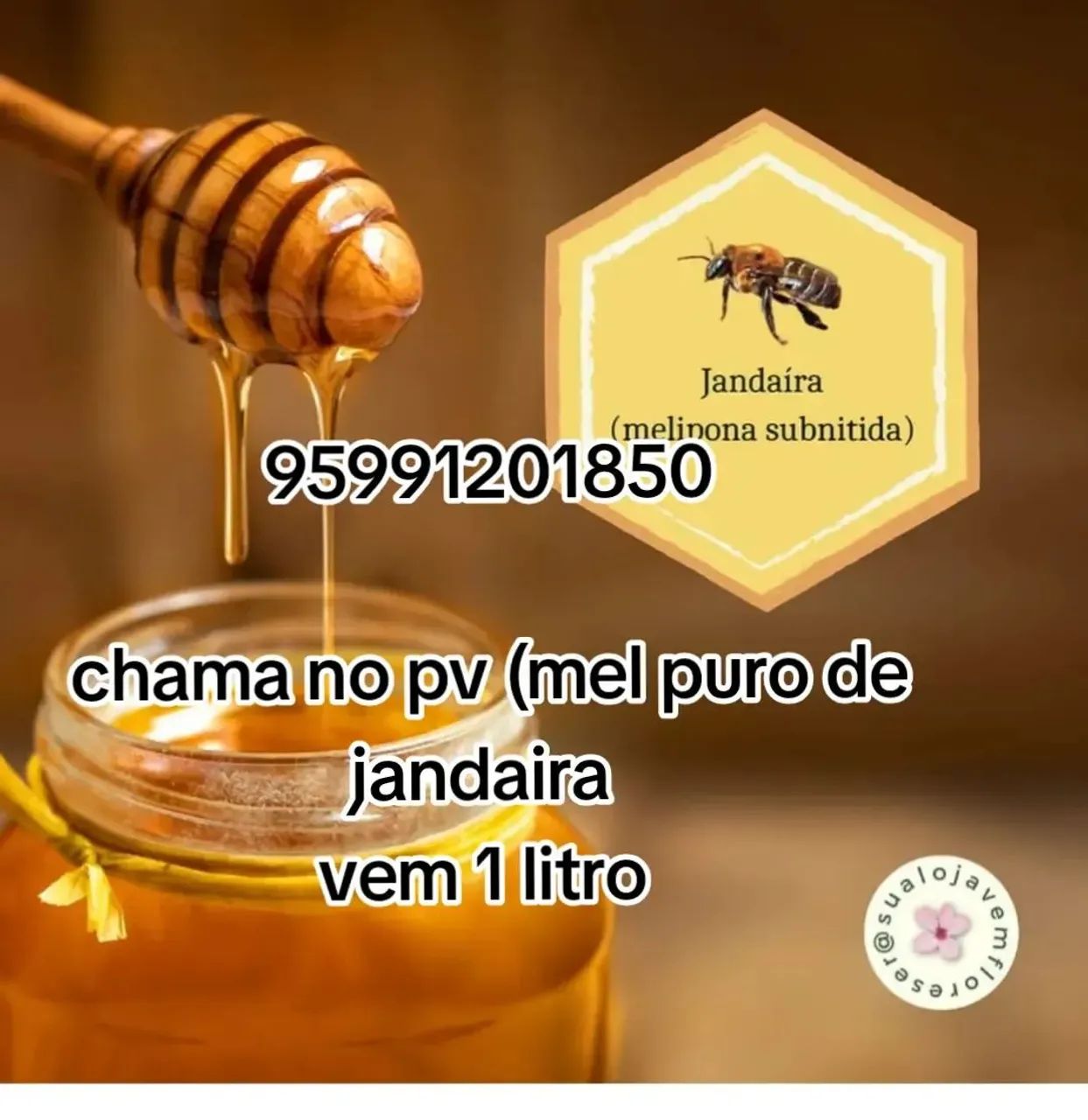 Mel de jandaira puro *  - Foto 2