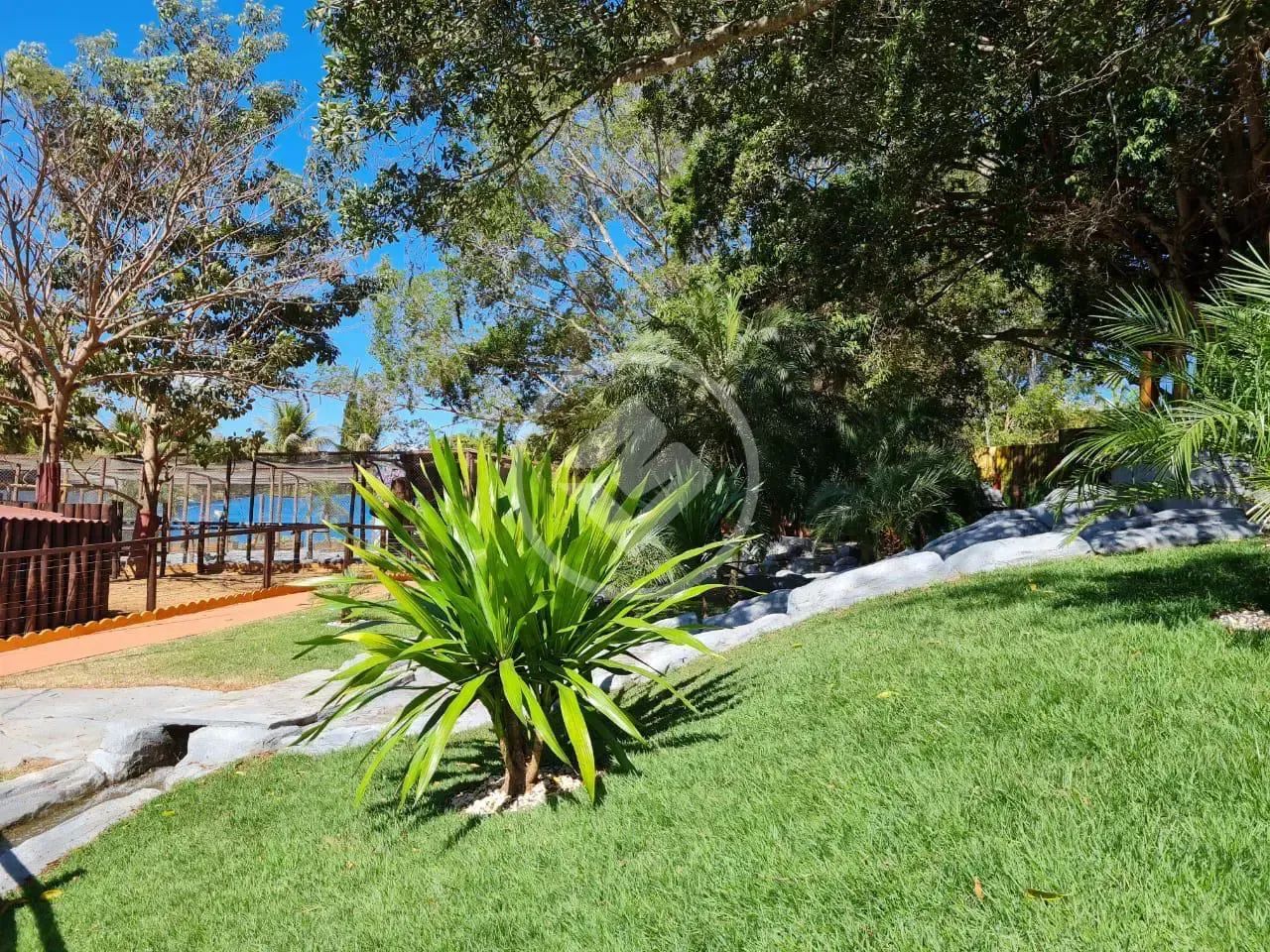 TERRA SANTA CANAÃ codigo: 128816 - Foto 5