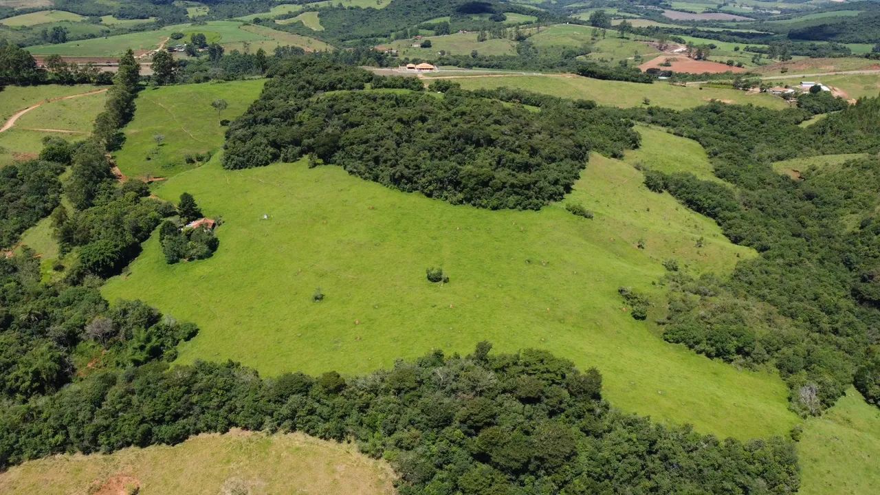 Sítio 8.947 hectares  - Foto 3