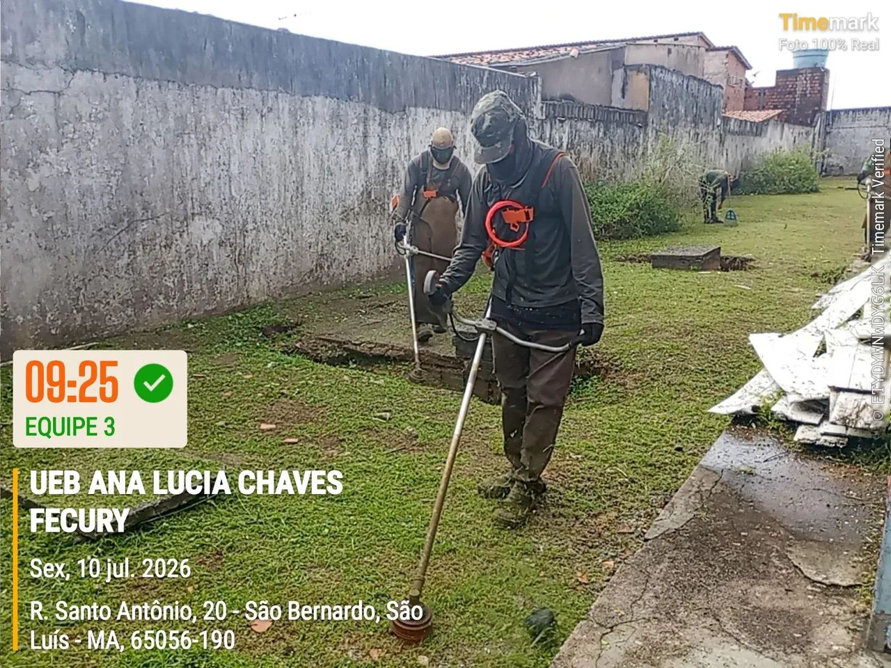 Capina e poda - Foto 2