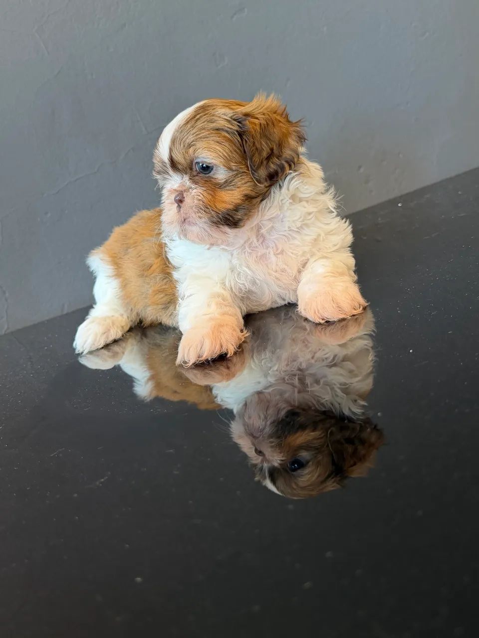 Lindo shiatsu 