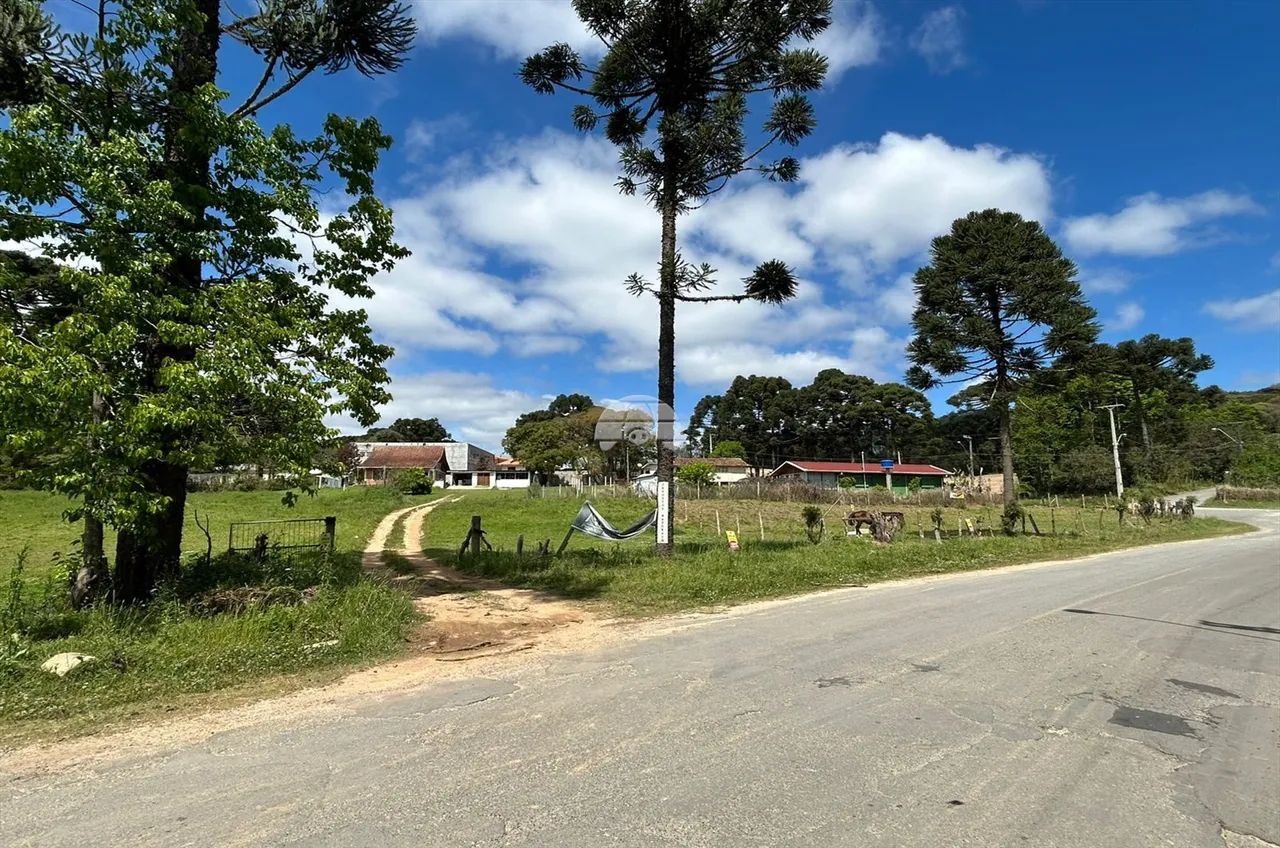 Vendas Terreno Campo Largo PR - Foto 2