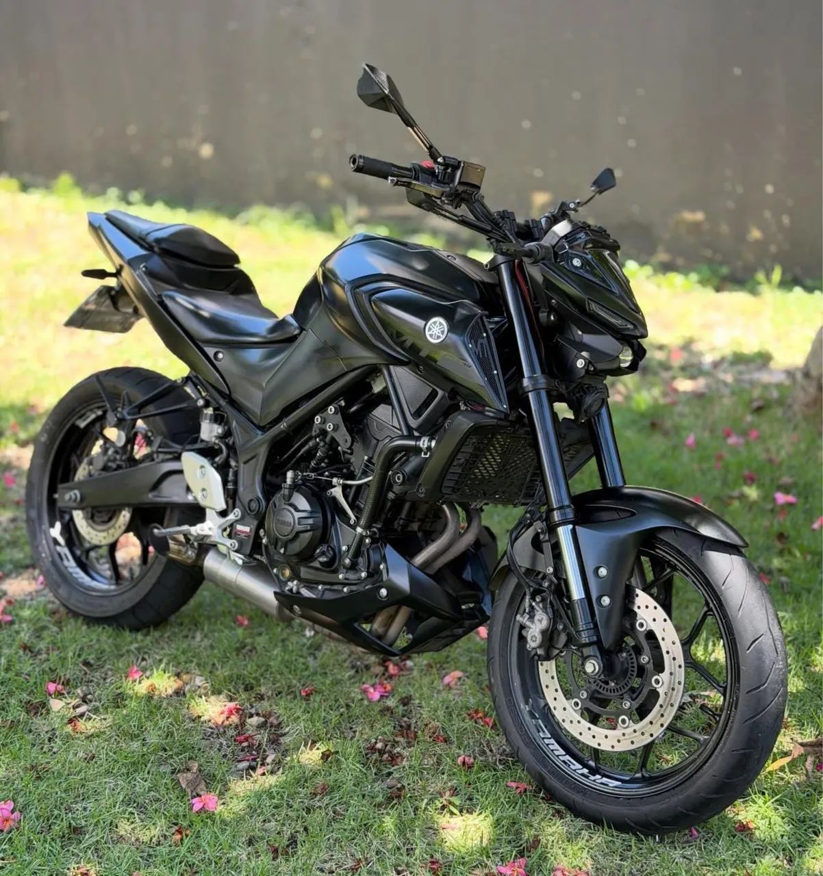MT 03 - 2019