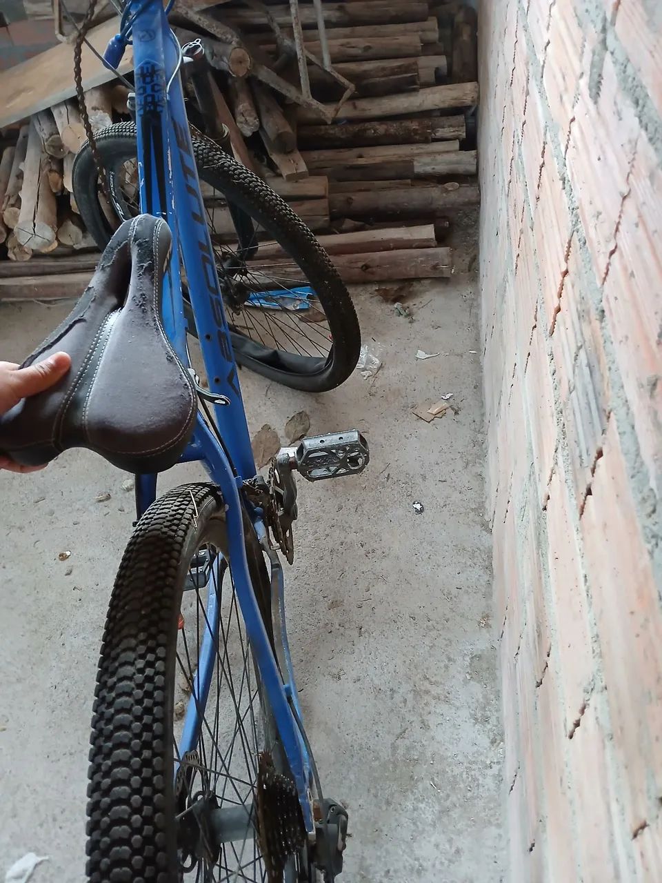 Vendo bike absolute  - Foto 2