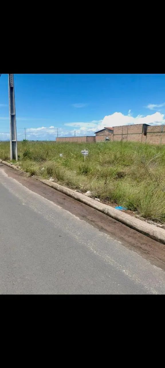 Vendo terreno no caburaí 3  - Foto 4