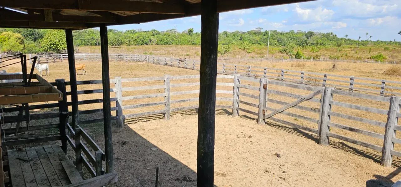 Fazenda em Canutama de 954,00 HA - Foto 4