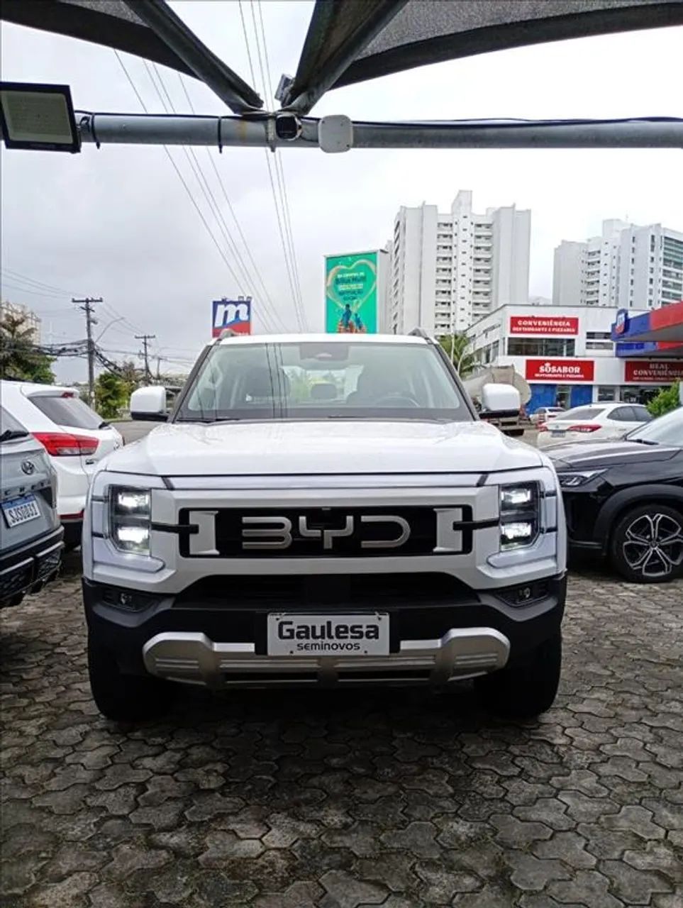 BYD Shark 2025