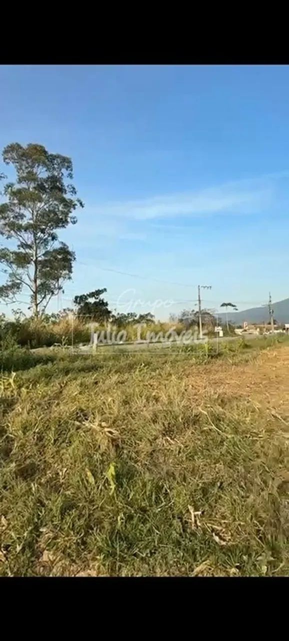 Terreno amplo em São João Batista - Foto 5