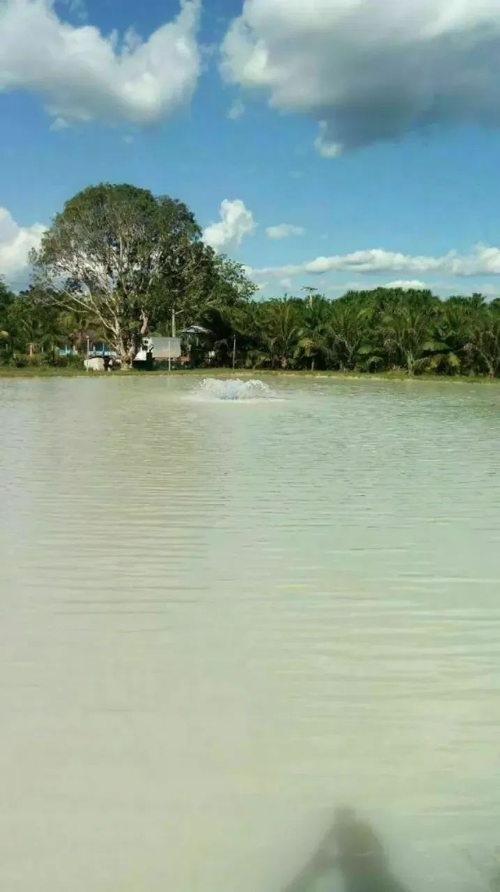 VENDO SÍTIO EM RIO PRETO DA EVA IMPERDÍVEL - Foto 3