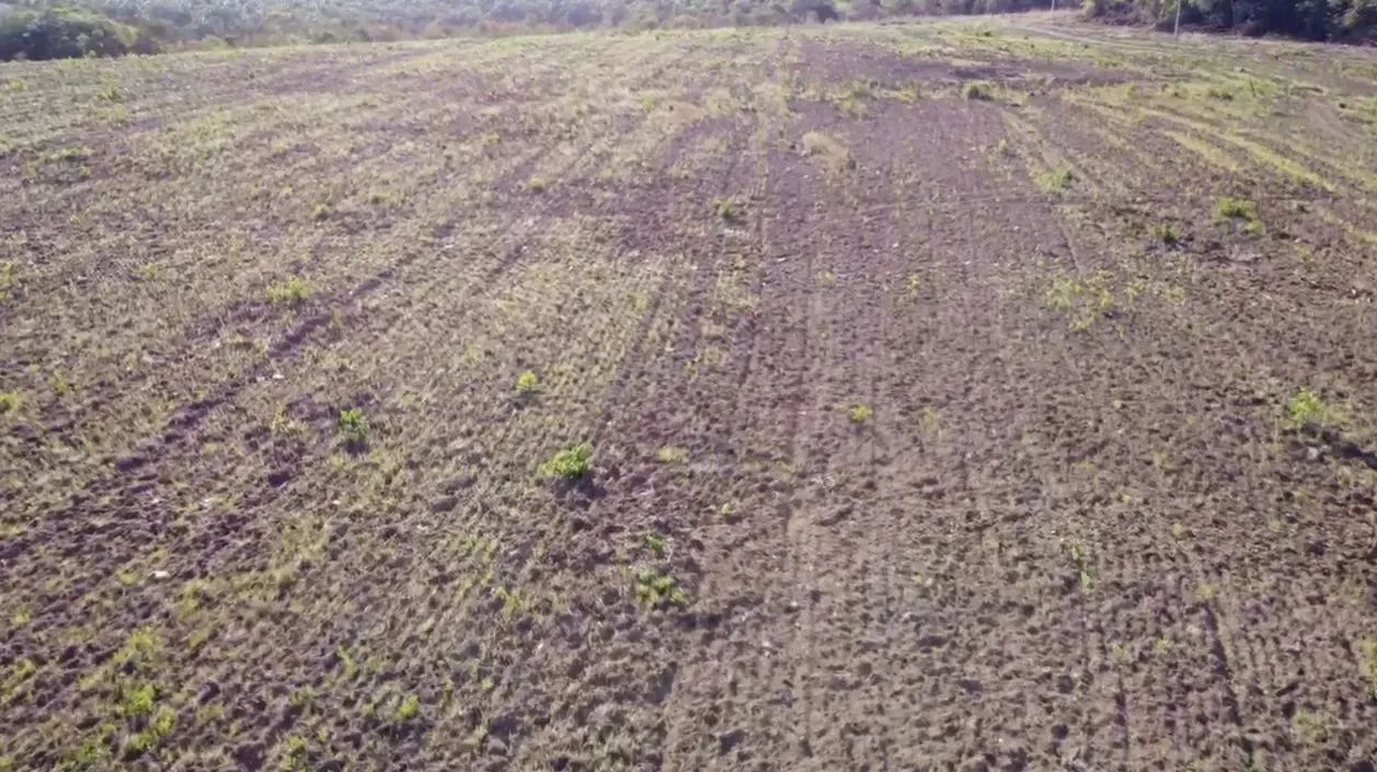 Fazenda 236,38 alqueires (1.144,12 hectares) Pium - To - Foto 4