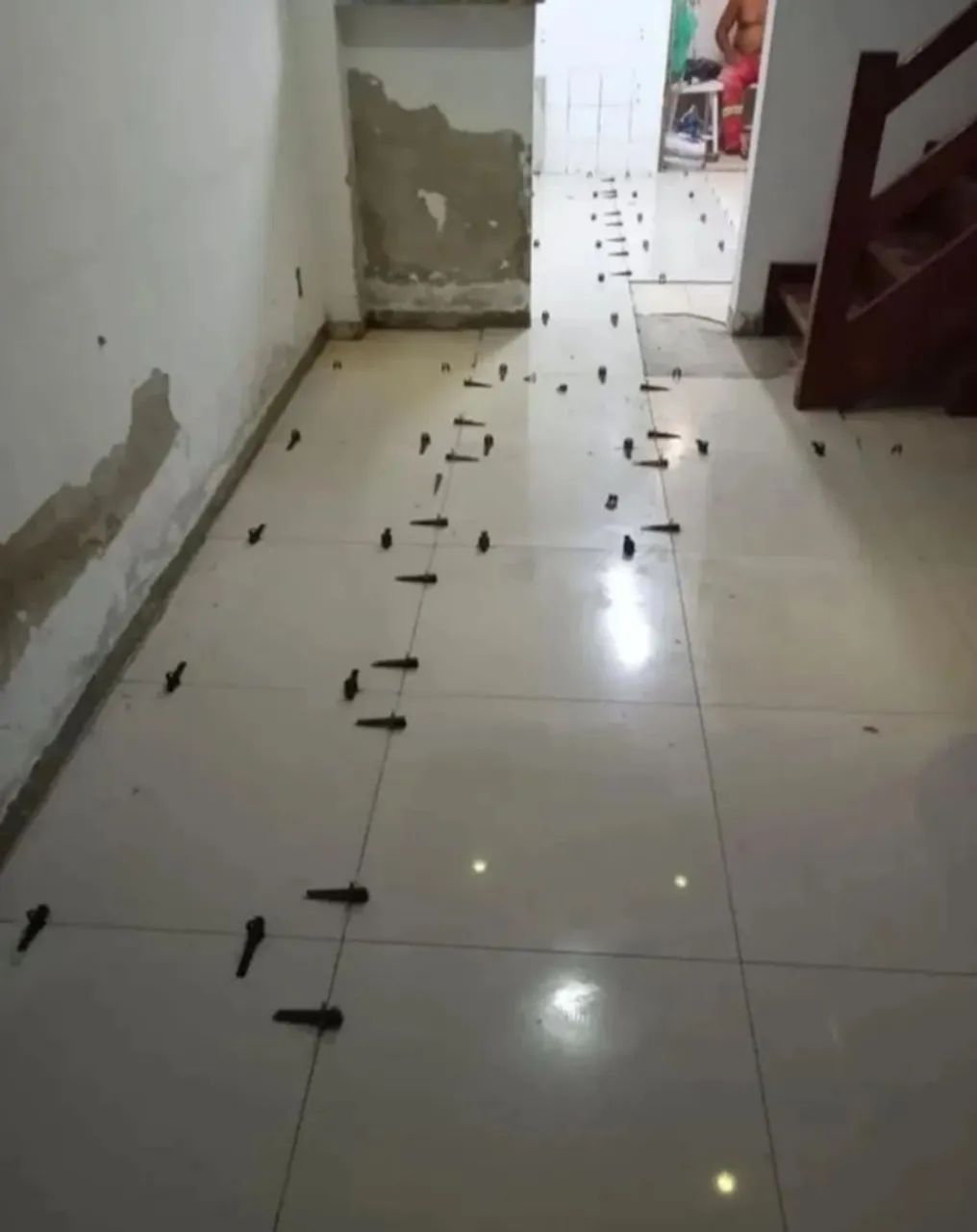 Pedreiro a Disposição  - Foto 3