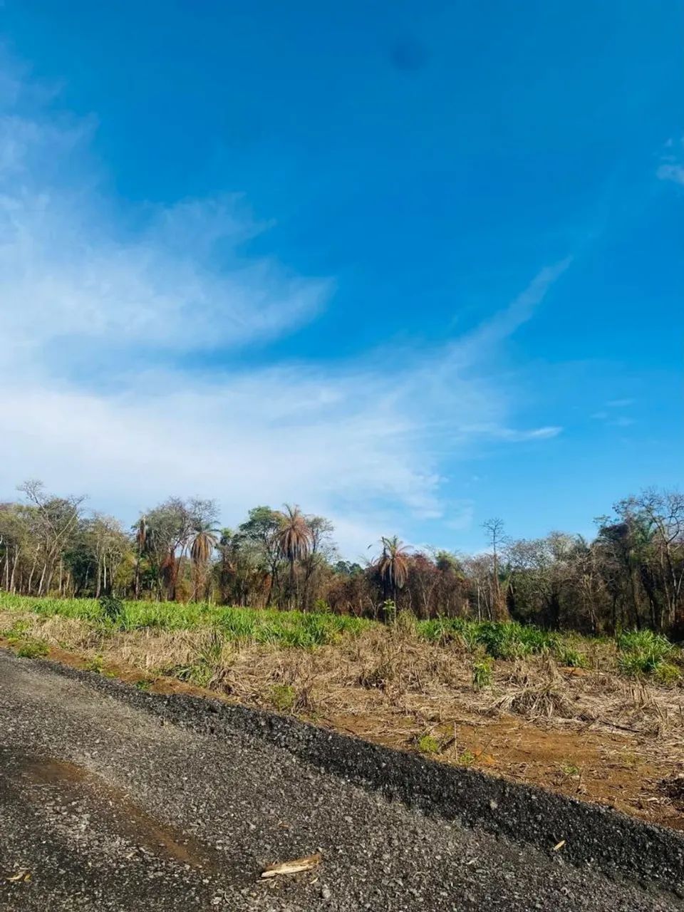 Terreno rural de 5 mil metros  - Foto 2