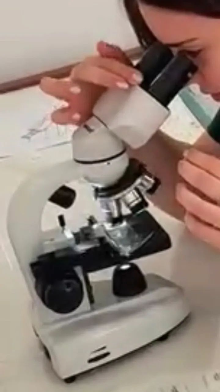 microscópio óptico binocular