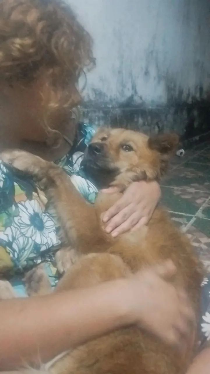 Doação  - Foto 2