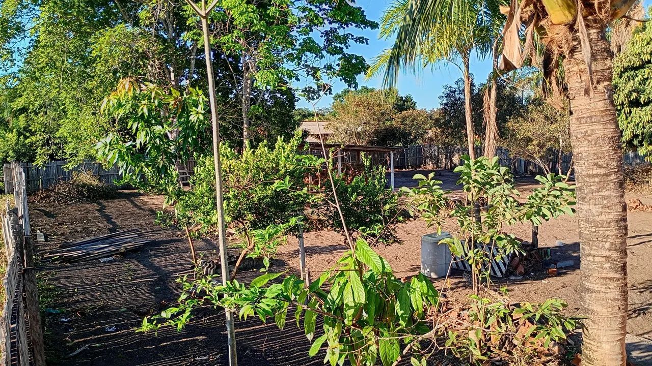 Terreno com casa para venda - Foto 4